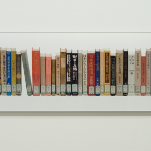 Work 9 書物の光線